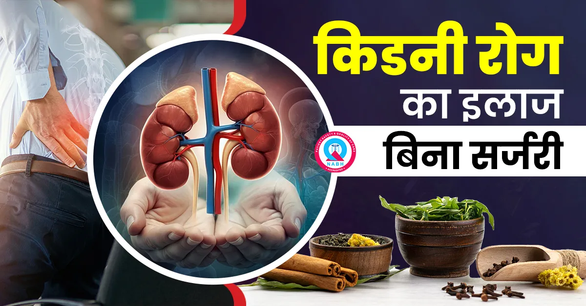 किडनी-रोग-का-इलाज-बिना-सर्जरी